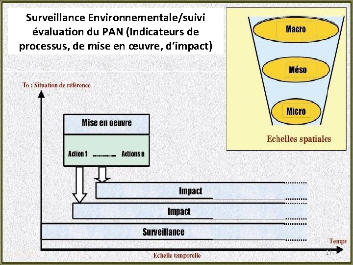 Surveillance Environnementale/suivi évaluation du PAN (Indicateurs de processus, de mise en œuvre, PAN d’impact)