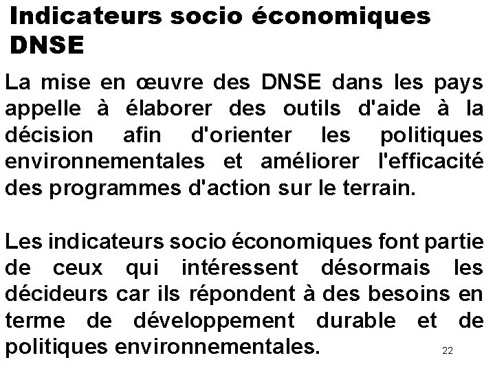 Indicateurs socio économiques DNSE La mise en œuvre des DNSE dans les pays appelle