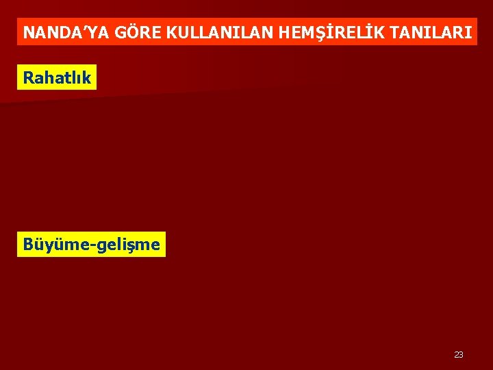 NANDA’YA GÖRE KULLANILAN HEMŞİRELİK TANILARI Rahatlık Büyüme-gelişme 23 