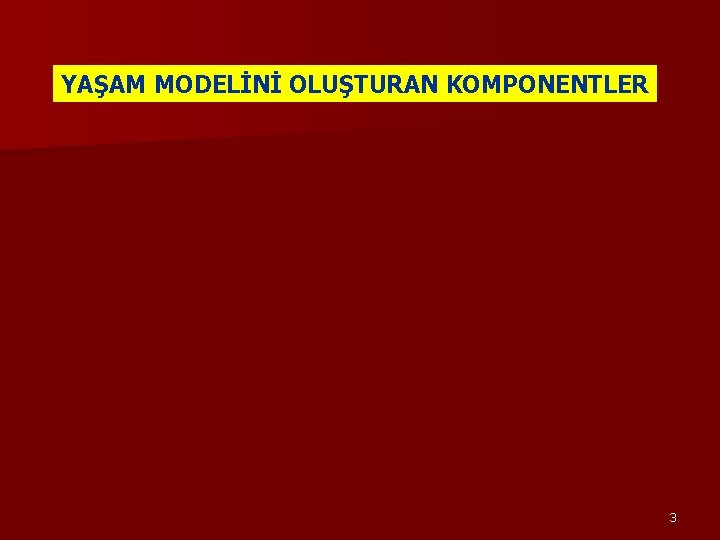 YAŞAM MODELİNİ OLUŞTURAN KOMPONENTLER 3 YAŞAM MODELİNİ OLUŞTURAN KOMPONENTLER 3