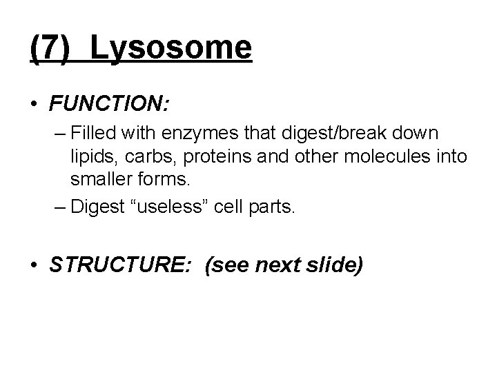 (7) Lysosome • FUNCTION: – Filled with enzymes that digest/break down lipids, carbs, proteins