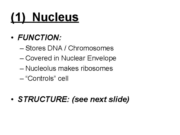 (1) Nucleus • FUNCTION: – Stores DNA / Chromosomes – Covered in Nuclear Envelope