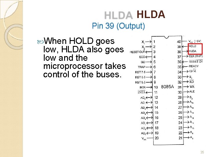 HLDA Pin 39 (Output) When HOLD goes low, HLDA also goes low and the