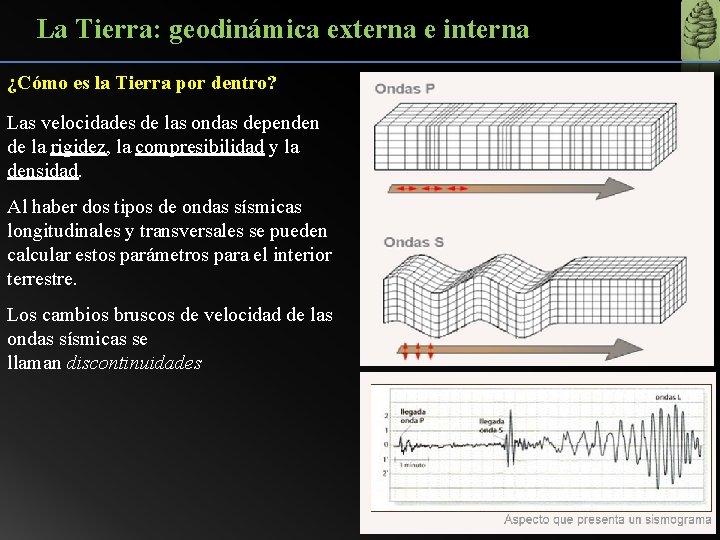 La Tierra: geodinámica externa e interna ¿Cómo es la Tierra por dentro? Las velocidades