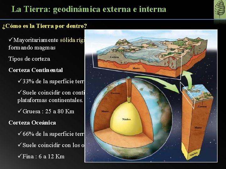 La Tierra: geodinámica externa e interna ¿Cómo es la Tierra por dentro? üMayoritariamente sólida