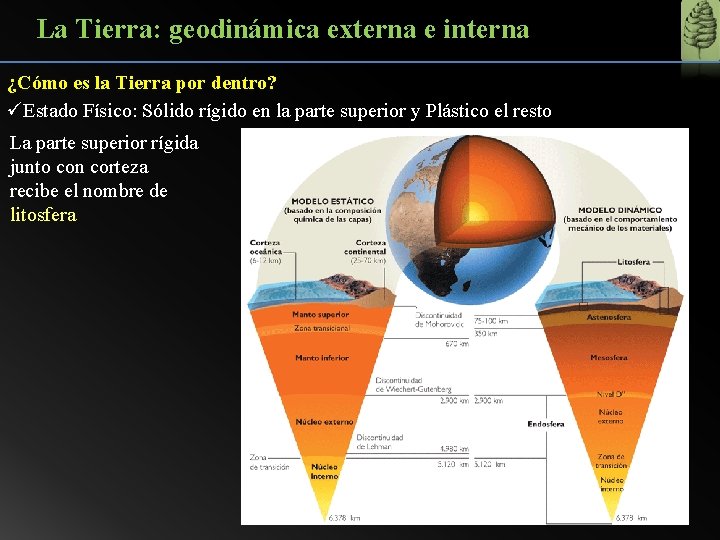 La Tierra: geodinámica externa e interna ¿Cómo es la Tierra por dentro? üEstado Físico: