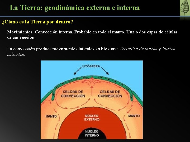 La Tierra: geodinámica externa e interna ¿Cómo es la Tierra por dentro? Movimientos: Convección