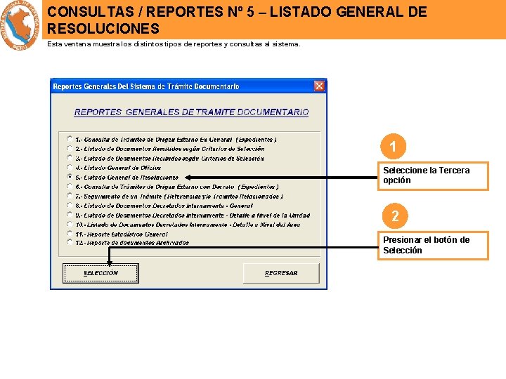 CONSULTAS / REPORTES Nº 5 – LISTADO GENERAL DE RESOLUCIONES Esta ventana muestra los