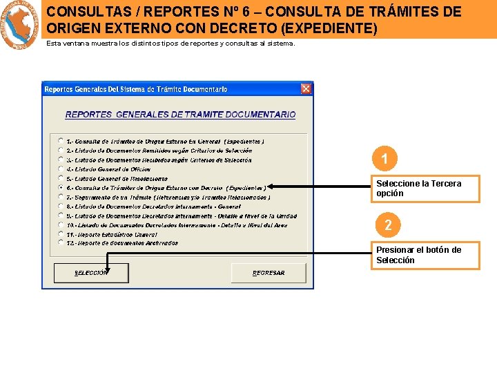 CONSULTAS / REPORTES Nº 6 – CONSULTA DE TRÁMITES DE ORIGEN EXTERNO CON DECRETO