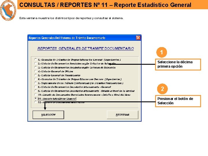 CONSULTAS / REPORTES Nº 11 – Reporte Estadístico General Esta ventana muestra los distintos