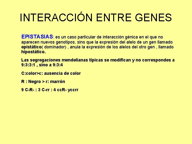 INTERACCIÓN ENTRE GENES EPISTASIAS: es un caso particular de interacción génica en el que