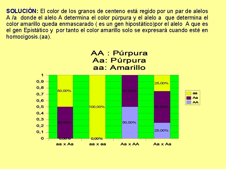 SOLUCIÓN: El color de los granos de centeno está regido por un par de