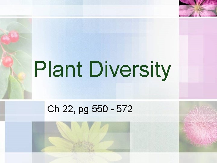 Plant Diversity Ch 22, pg 550 - 572 