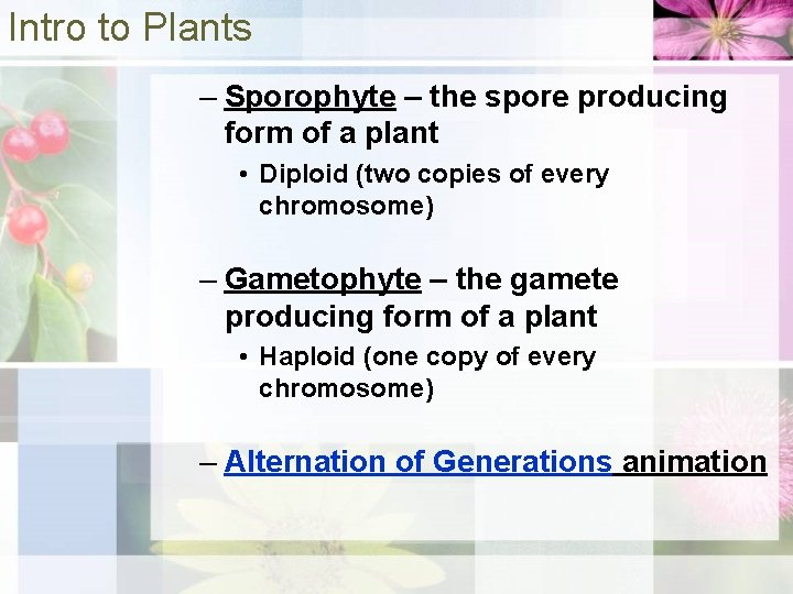 Intro to Plants – Sporophyte – the spore producing form of a plant •