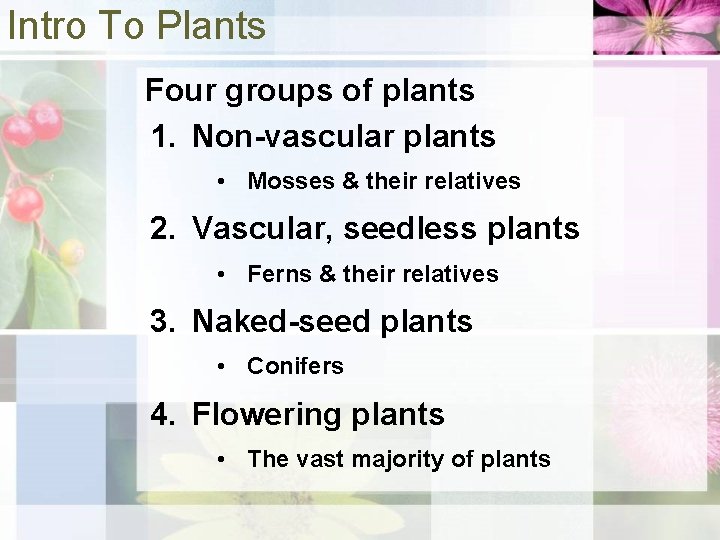 Intro To Plants Four groups of plants 1. Non-vascular plants • Mosses & their