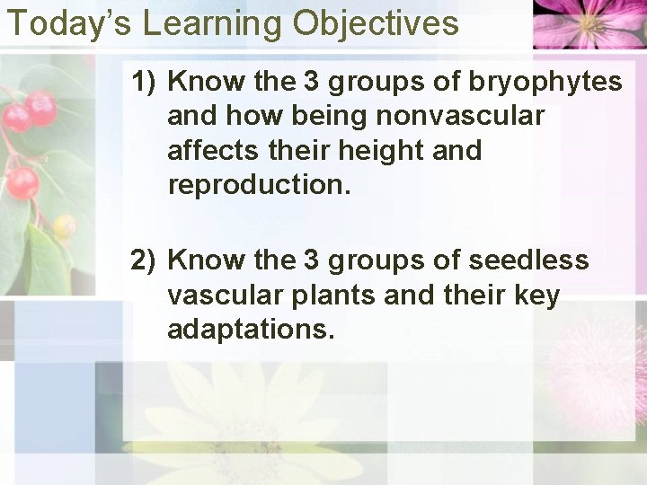 Today’s Learning Objectives 1) Know the 3 groups of bryophytes and how being nonvascular