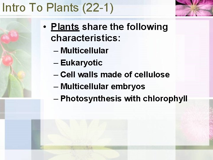 Intro To Plants (22 -1) • Plants share the following characteristics: – Multicellular –