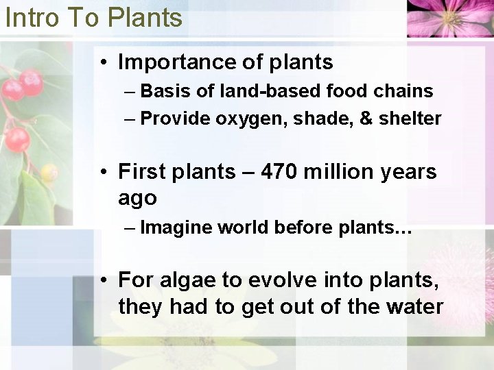 Intro To Plants • Importance of plants – Basis of land-based food chains –