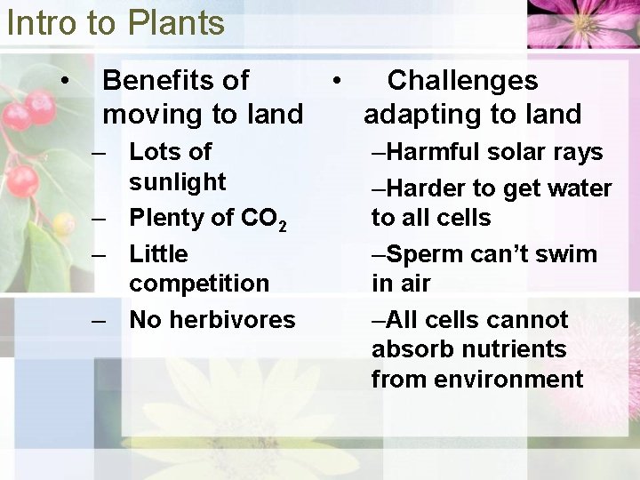 Intro to Plants • Benefits of • Challenges moving to land adapting to land