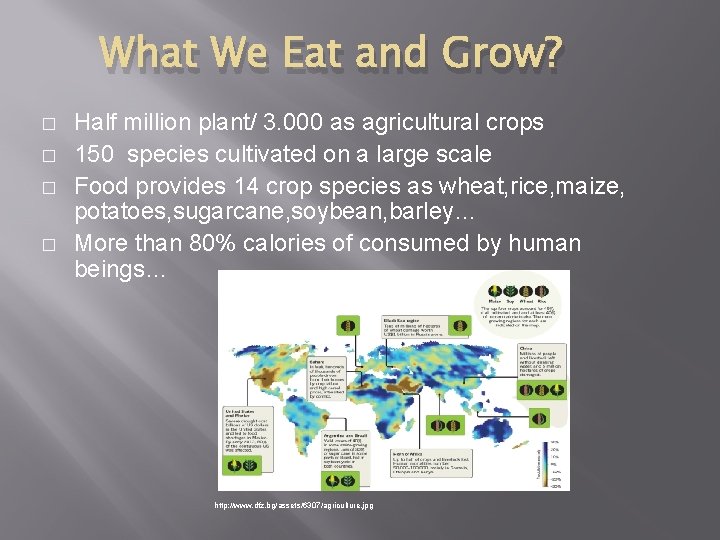 What We Eat and Grow? � � Half million plant/ 3. 000 as agricultural