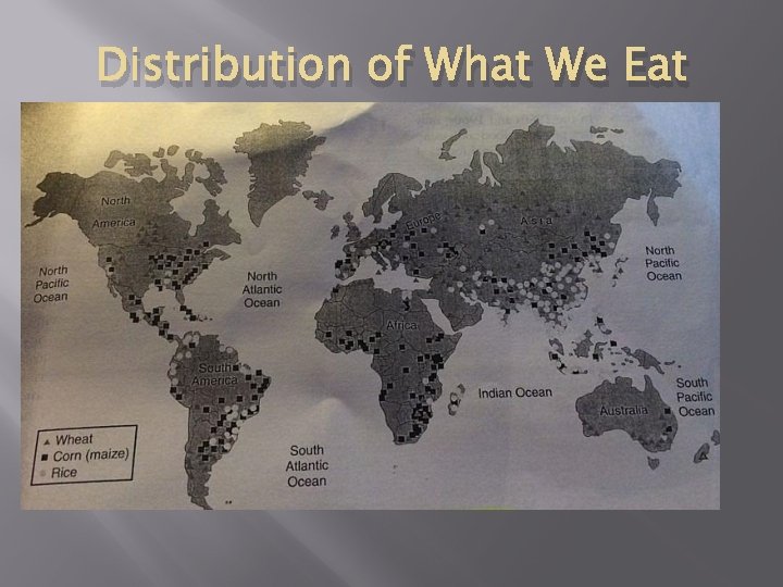 Distribution of What We Eat 