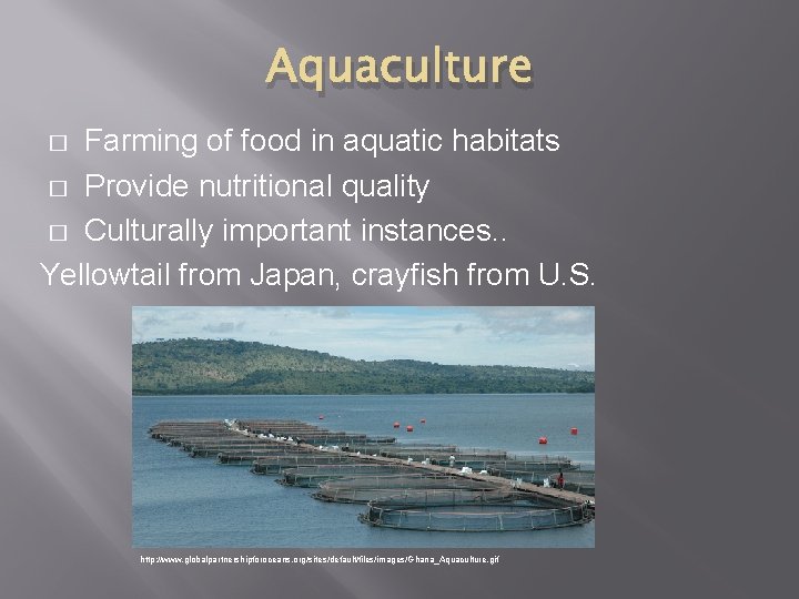Aquaculture Farming of food in aquatic habitats � Provide nutritional quality � Culturally important
