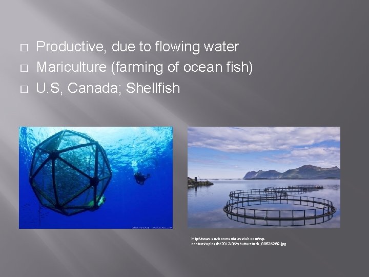 � � � Productive, due to flowing water Mariculture (farming of ocean fish) U.