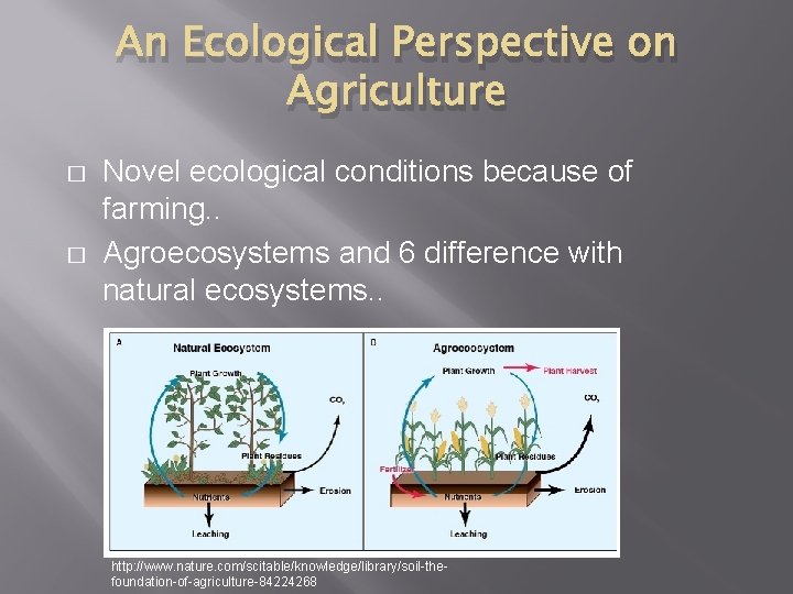 An Ecological Perspective on Agriculture � � Novel ecological conditions because of farming. .