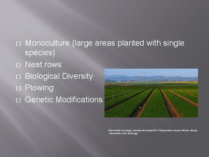 � � � Monoculture (large areas planted with single species) Neat rows Biological Diversity