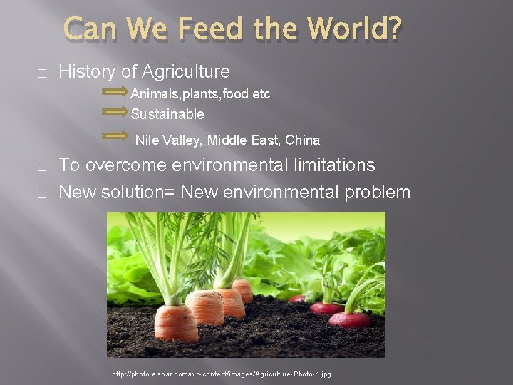 Can We Feed the World? � History of Agriculture Animals, plants, food etc. Sustainable