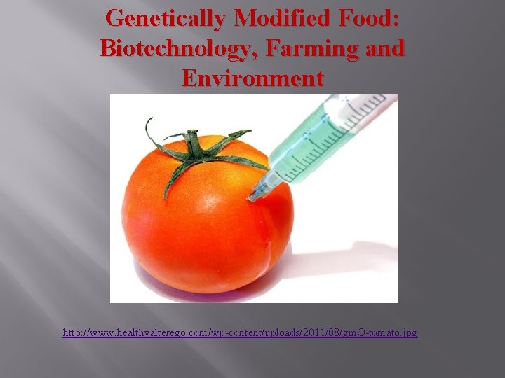 Genetically Modified Food: Biotechnology, Farming and Environment http: //www. healthyalterego. com/wp-content/uploads/2011/08/gm. O-tomato. jpg 