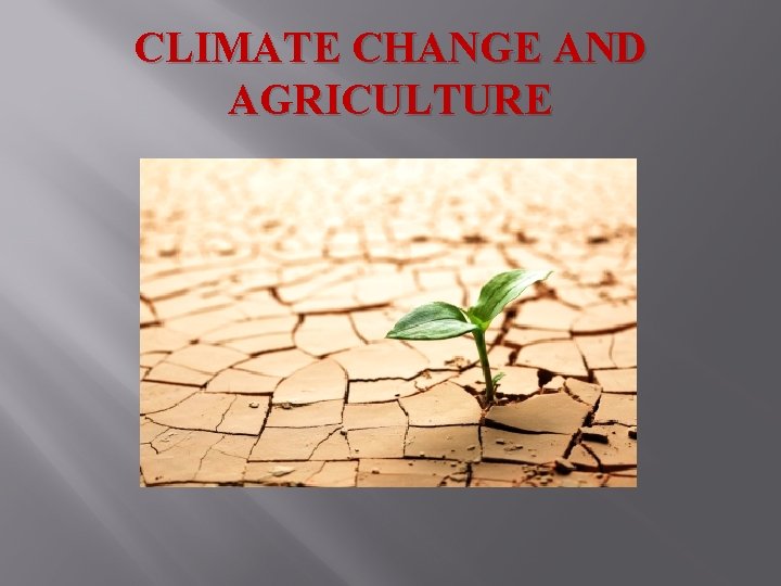 CLIMATE CHANGE AND AGRICULTURE 