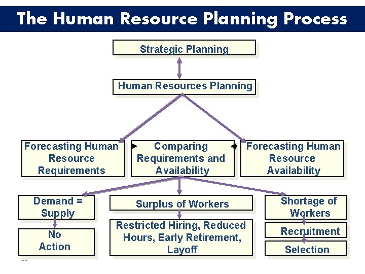 The Human Resource Planning Process Strategic Planning Human Resources Planning Forecasting Human Resource Requirements