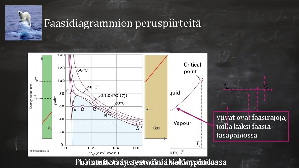 Faasidiagrammien peruspiirteitä Viivojen välisillä alueilla yksi faasi hallitsee Kolmoispisteessä kolme faasia ovat samanaikaisesti tasapainossa