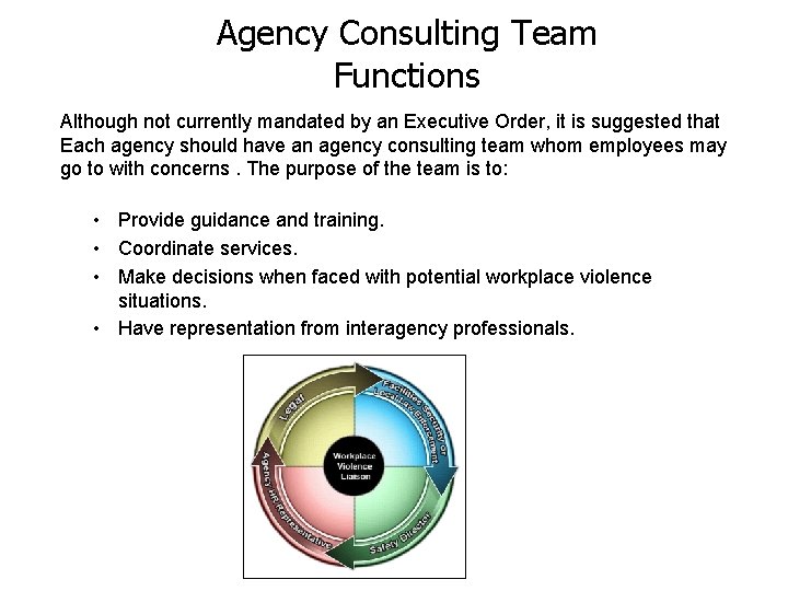Agency Consulting Team Functions Although not currently mandated by an Executive Order, it is