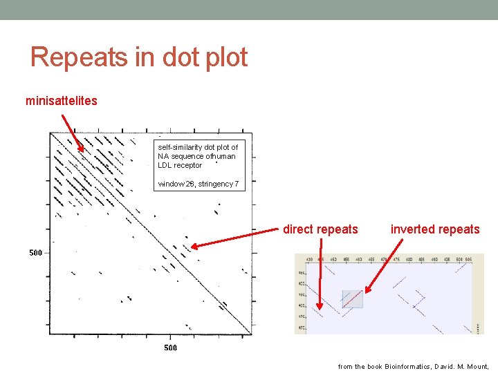 Repeats in dot plot minisattelites self-similarity dot plot of NA sequence ofhuman LDL receptor