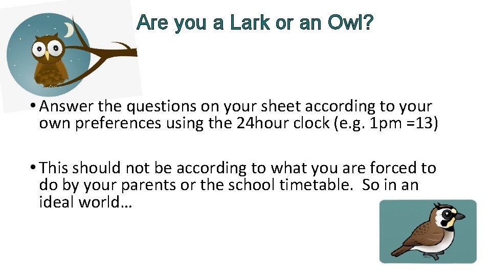 Are you a Lark or an Owl? • Answer the questions on your sheet