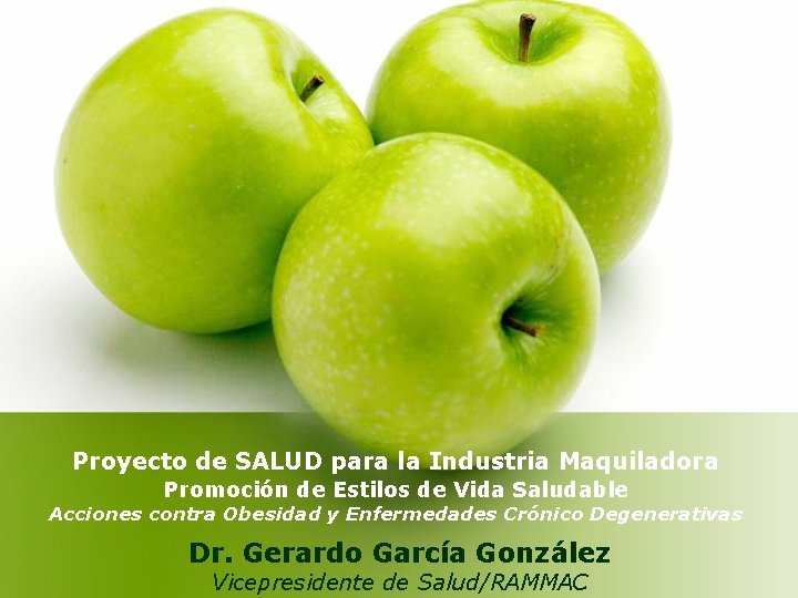 Proyecto de SALUD para la Industria Maquiladora Promoción de Estilos de Vida Saludable Acciones