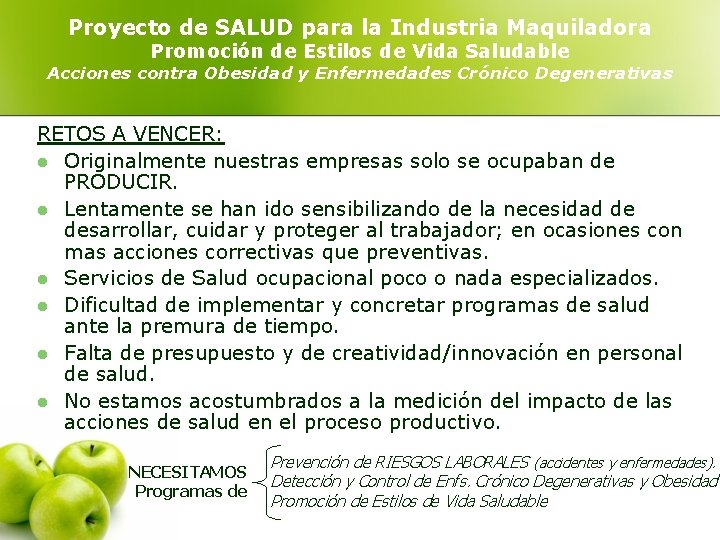 Proyecto de SALUD para la Industria Maquiladora Promoción de Estilos de Vida Saludable Acciones