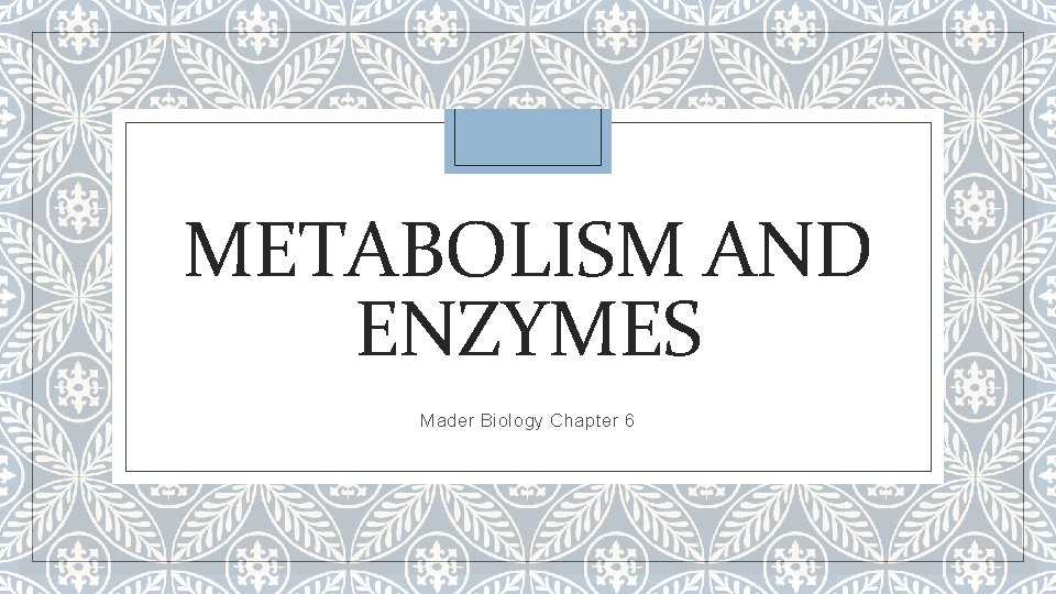 METABOLISM AND ENZYMES Mader Biology Chapter 6 