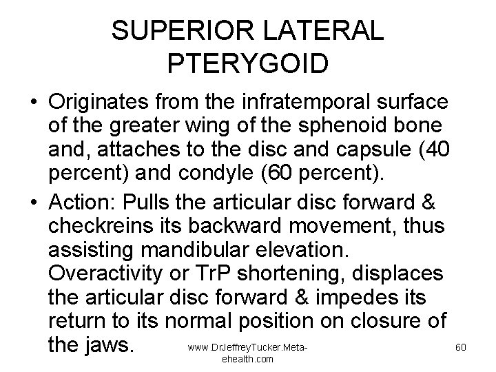 SUPERIOR LATERAL PTERYGOID • Originates from the infratemporal surface of the greater wing of