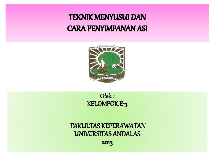 TEKNIK MENYUSUI DAN CARA PENYIMPANAN ASI Oleh : KELOMPOK E 13 FAKULTAS KEPERAWATAN UNIVERSITAS