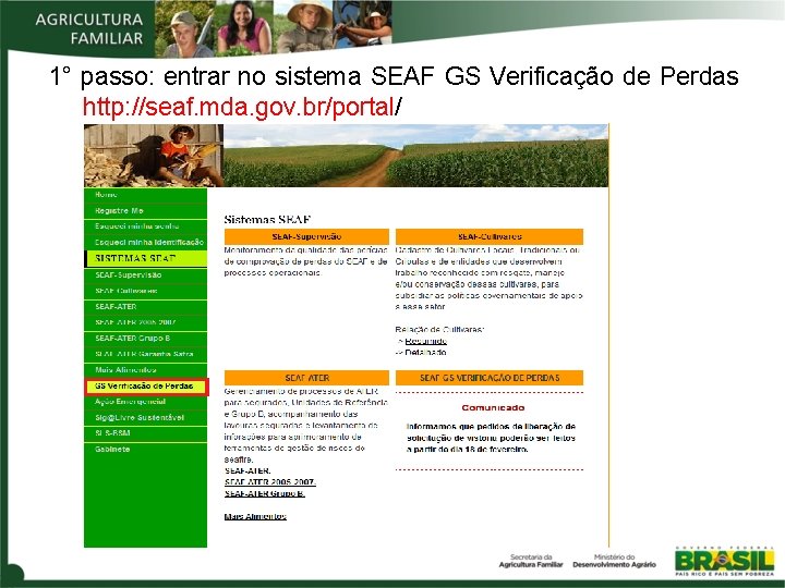 1° passo: entrar no sistema SEAF GS Verificação de Perdas http: //seaf. mda. gov.