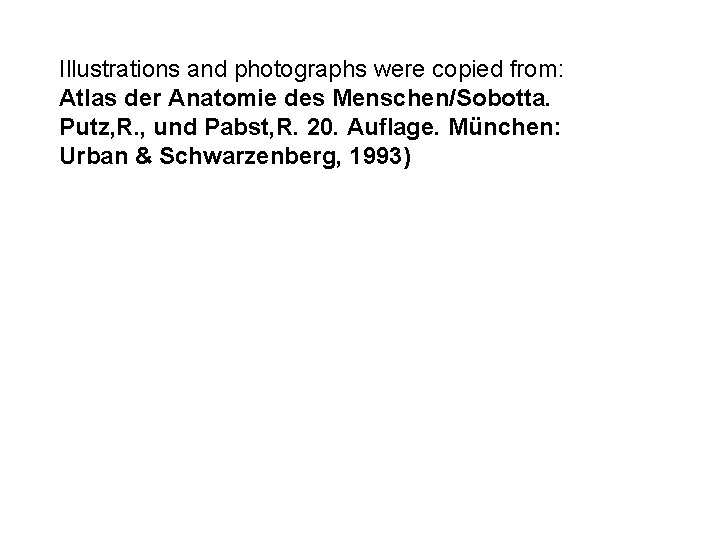 Illustrations and photographs were copied from: Atlas der Anatomie des Menschen/Sobotta. Putz, R. , Illustrations and photographs were copied from: Atlas der Anatomie des Menschen/Sobotta. Putz, R. ,