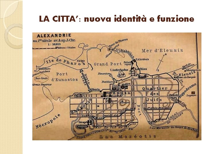 LA CITTA’: nuova identità e funzione 