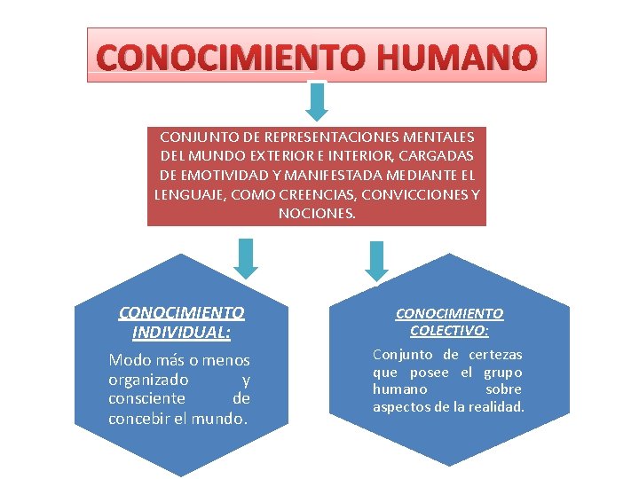 CONOCIMIENTO HUMANO CONJUNTO DE REPRESENTACIONES MENTALES DEL MUNDO EXTERIOR E INTERIOR, CARGADAS DE EMOTIVIDAD