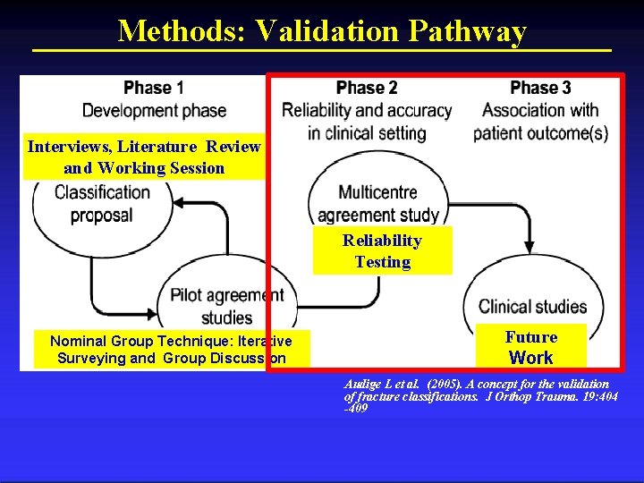 Methods: Validation Pathway Interviews, Literature Review and Working Session Reliability Testing Future Work Nominal