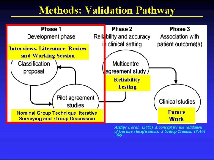 Methods: Validation Pathway Interviews, Literature Review and Working Session Reliability Testing Nominal Group Technique: