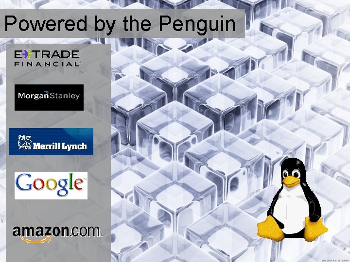 Powered by the Penguin 