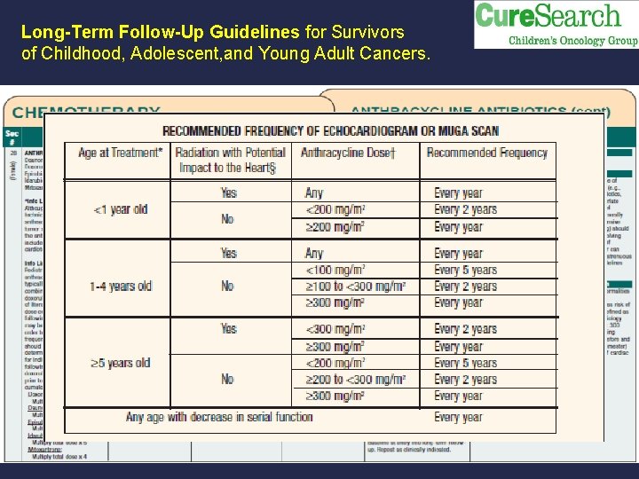 Long-Term Follow-Up Guidelines for Survivors of Childhood, Adolescent, and Young Adult Cancers. 